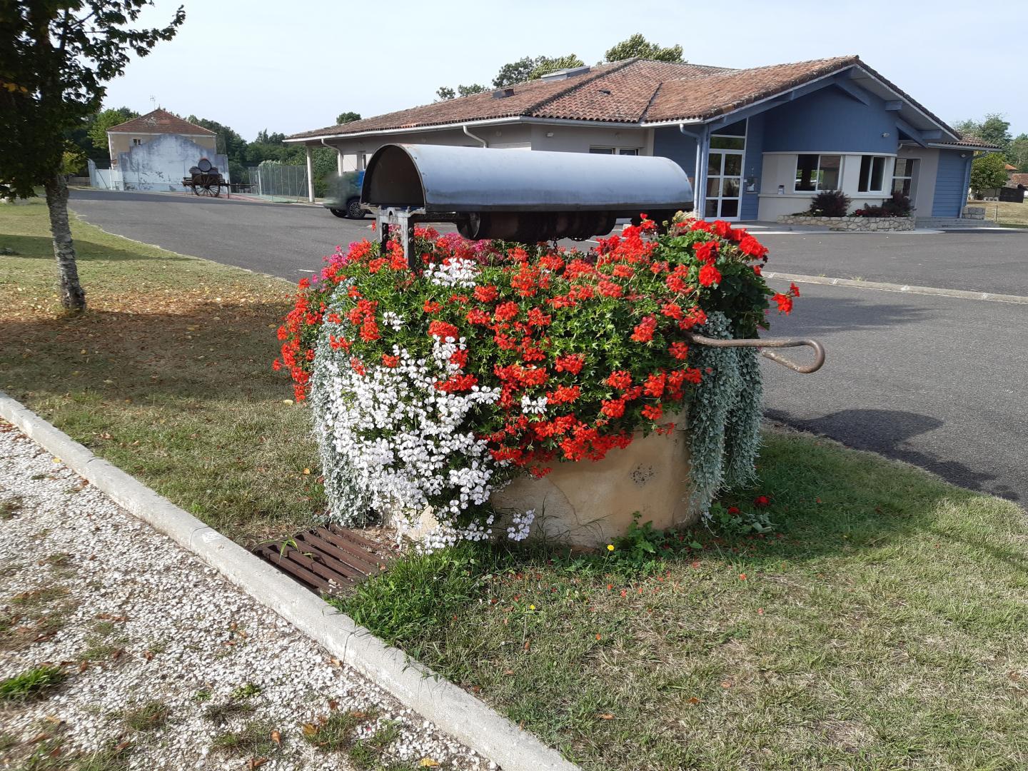Puit fleuri avec des géraniums