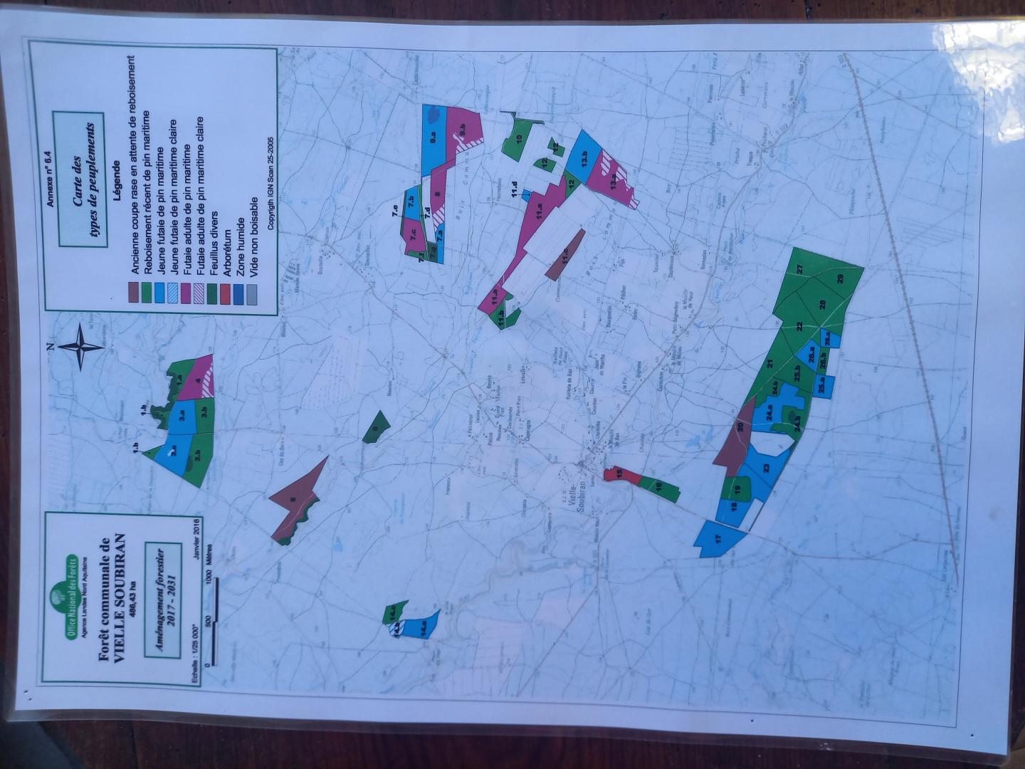 Plan de la forêt communale avec indication des parcelles communales